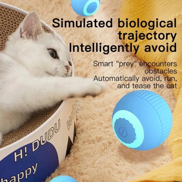 AutoMagic-Roller - Image 4