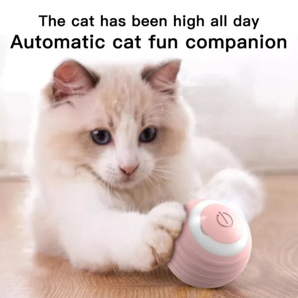 AutoMagic-Roller - Image 2